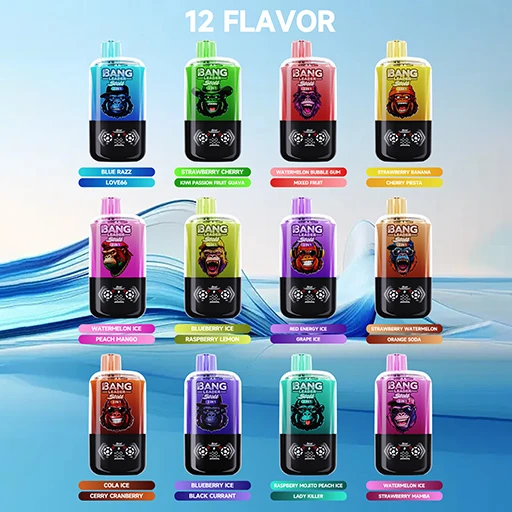 BANG Leader 120K 使い捨てVAPE 4in1 12万パフ OLED画面搭載 商品画像