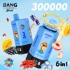 BANG LEADER STOLL 300K Puffs (4) - 使い捨て電子タバコ