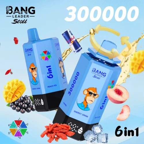 BANG LEADER STOLL 300K Puffs (4) - 使い捨て電子タバコ