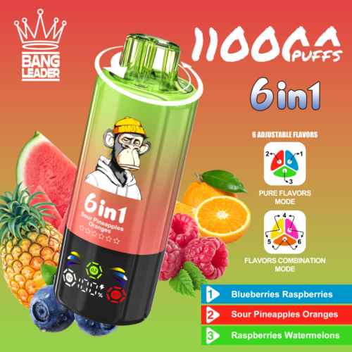 Bang Leader 110K Puffs 6 in 1 (1) - 使い捨て電子タバコ