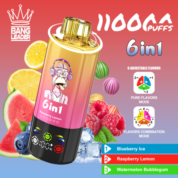 Bang Leader 110K Puffs 6 in 1 (2) - 使い捨て電子タバコ