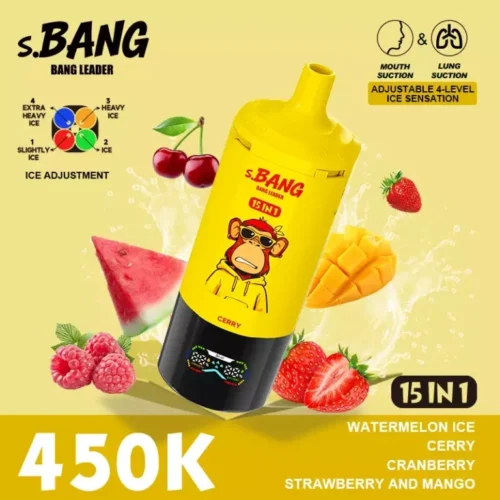 Bang Leader 450K Puffs 15 in 1 (1) - 使い捨て電子タバコ