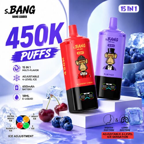 Bang Leader 450K Puffs 15 in 1 (2) - 使い捨て電子タバコ
