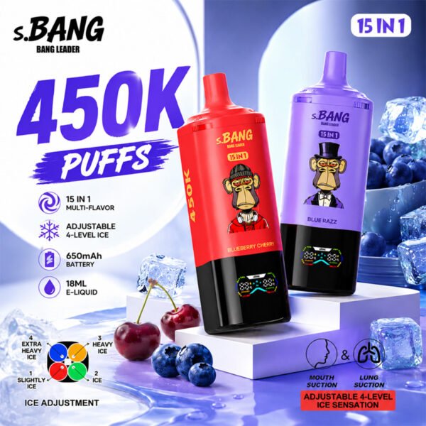 Bang Leader 450K Puffs 15 in 1 (2) - 使い捨て電子タバコ
