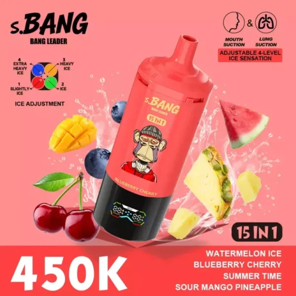 Bang Leader 450K Puffs 15 in 1 (5) - 使い捨て電子タバコ