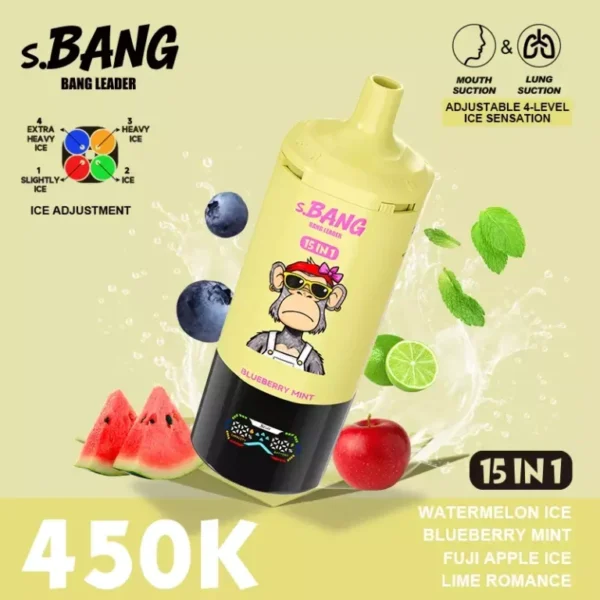 Bang Leader 450K Puffs 15 in 1 (6) - 使い捨て電子タバコ