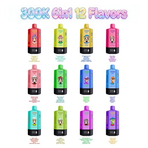 Bang Leader Stoll 300K 使い捨てVAPE 6in1 30万パフ デュアルメッシュコイル 商品画像