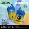 vape-bang-leader-80000-80k-puffs-blueberry-ice-black-dragon-ice-mango-peach-1200
