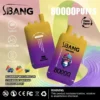 vape-bang-leader-80000-80k-puffs-blueberry-watermelon-strawberry-mango-blackcurr