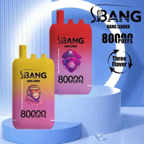 vape-bang-leader-80000-80k-puffs-main-picture.webp - 使い捨て電子タバコ