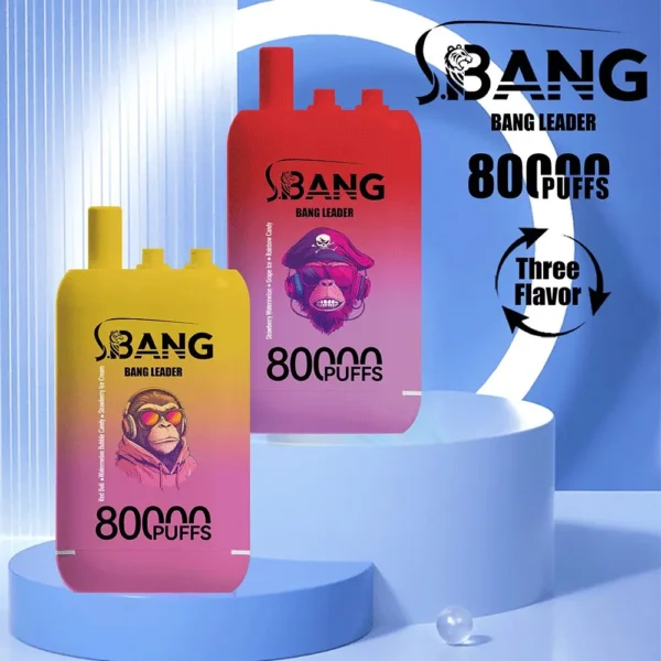 vape-bang-leader-80000-80k-puffs-main-picture.webp - 使い捨て電子タバコ
